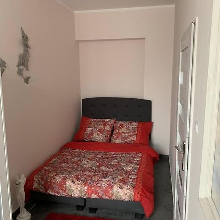 Sanktuarium Snu Apartments Glubczyce エクステリア 写真